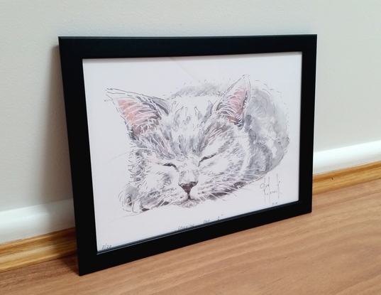 (CreativeWork) Sleeping Cat 2 - Framed- Limited Ed. 1 of 20 by Olga Kolesnik. Reproduction Print. Shop online at Bluethumb.