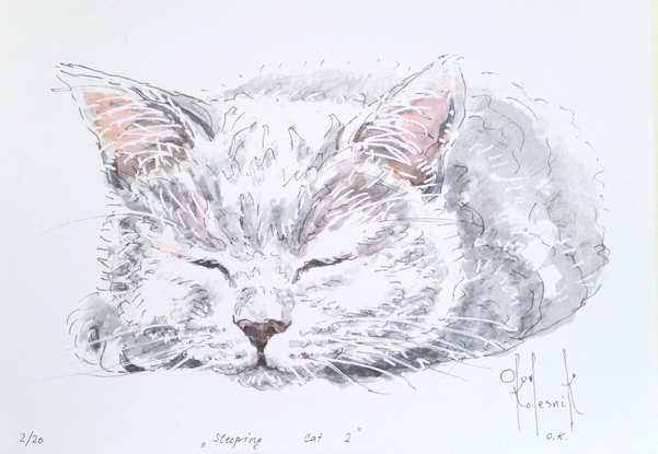 (CreativeWork) Sleeping Cat 2 - Framed- Limited Ed. 1 of 20 by Olga Kolesnik. Reproduction Print. Shop online at Bluethumb.