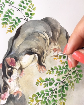 (CreativeWork) The Sugar Gliders & the Maidenhair  by Lamice Ali. Watercolour. Shop online at Bluethumb.