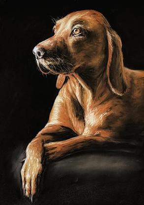 (CreativeWork) The Noble Hound  by Emma Llewelyn. Other Media. Shop online at Bluethumb.