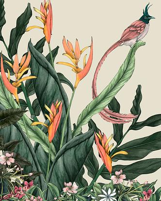 (CreativeWork) Bird of Paradise 24" x 32" Limited Edition Print Ed. 19 of 20 by Neha Gupte. Reproduction Print. Shop online at Bluethumb.