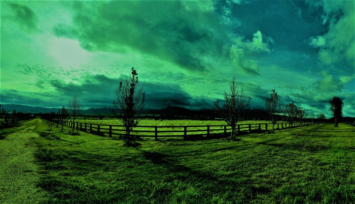 (CreativeWork) the paddocks on lockdown by aspen bodgiebookMarks. Reproduction Print. Shop online at Bluethumb.