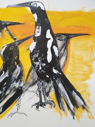 (CreativeWork) Magpie magic  by Stephen Homewood. Mixed Media. Shop online at Bluethumb.