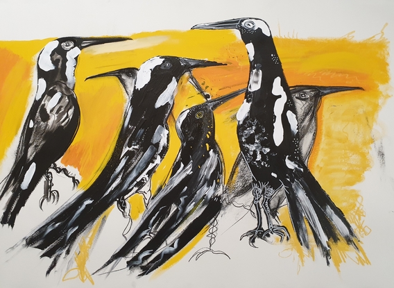 (CreativeWork) Magpie magic  by Stephen Homewood. Mixed Media. Shop online at Bluethumb.