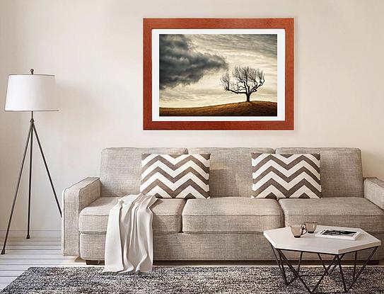 (CreativeWork) Passing Cloud and Tree Ed. 1 of 50 by Tony Lopes. Photograph. Shop online at Bluethumb.