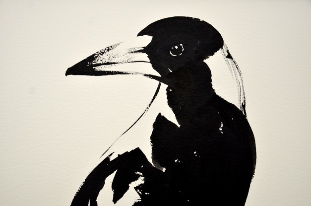 (CreativeWork) Magpie - Framed by Don Fangaroo. Drawing. Shop online at Bluethumb.