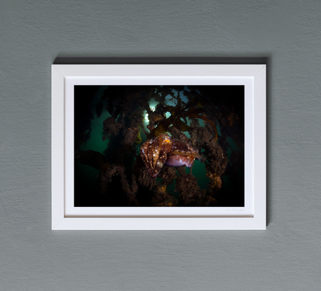 (CreativeWork) Doom's Door Ed. 6 of 50 by Talia Greis. Photograph. Shop online at Bluethumb.