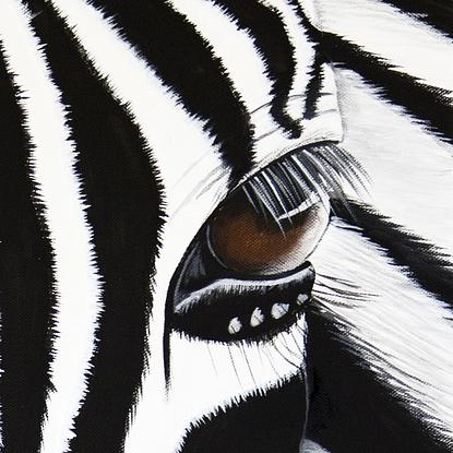 (CreativeWork) Black and White by Anne-Marie Bloor. Acrylic. Shop online at Bluethumb.