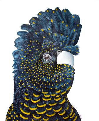 (CreativeWork) Blue Cockatoo by Anne-Marie Bloor. Acrylic. Shop online at Bluethumb.