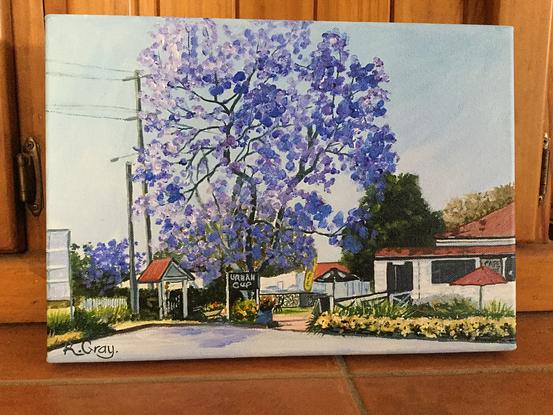 local scene of cafe with jacaranda tree