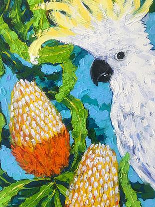 (CreativeWork) Cockatoos and Banksia by Irina Redine. Acrylic. Shop online at Bluethumb.