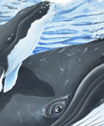 Painting of humpback whale and calf on an abstract blue background