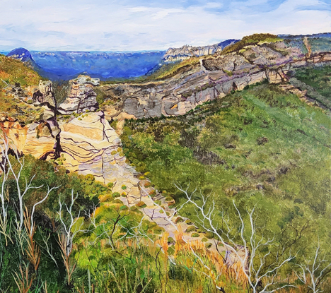 looking towards the distant kedumba valley and along the western side of the Narrowneck plateau with it's rugged sandstone cliffs, some glowing and an amazing array of new growth in differing shapes and sizes