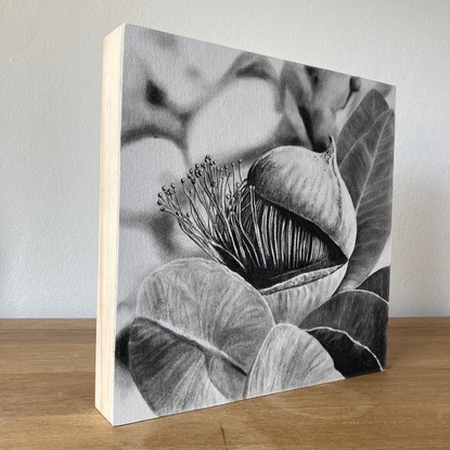 (CreativeWork) Close to Home - Eucalypt Pod by Ro Geddes. Drawing. Shop online at Bluethumb.