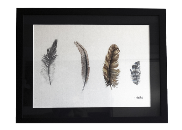 (CreativeWork) " Firstly, feathers" by Todd Bourke. Mixed Media. Shop online at Bluethumb.