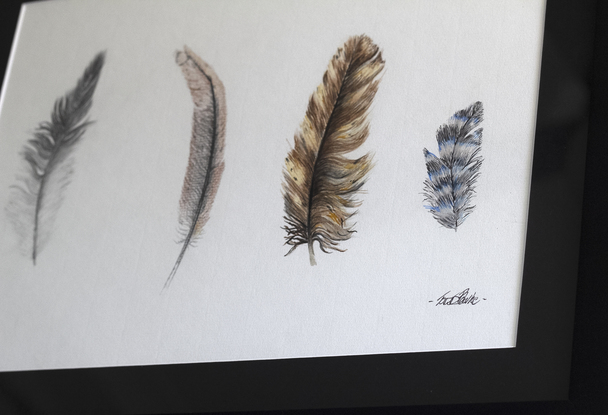 (CreativeWork) " Firstly, feathers" by Todd Bourke. Mixed Media. Shop online at Bluethumb.