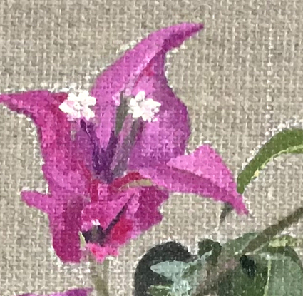 Pink Bougainvillea flower on raw linen backdrop