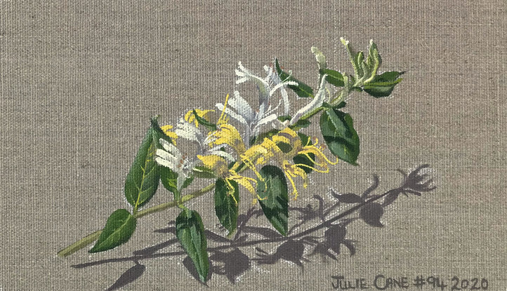 Japanese Honeysuckle flowers on raw linen backdrop.