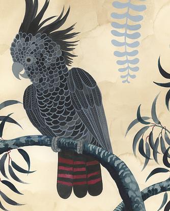 (CreativeWork) Red Tailed Black Cockatoo Forest by Sally Browne. Watercolour. Shop online at Bluethumb.