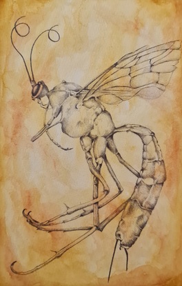 (CreativeWork) The wasp by Anna Eggenhuizen. Mixed Media. Shop online at Bluethumb.