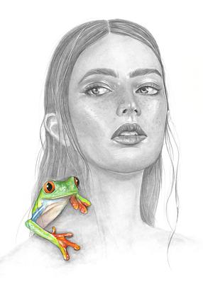 (CreativeWork) Guide / pencil portrait drawing and gouache animal painting  by Charlotte Beddoes. Mixed Media. Shop online at Bluethumb.