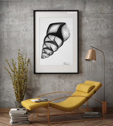 (CreativeWork) Big Shell Wall Art | Shell Wall Art | Paper Art Print | Seashell Print | Nautical Decor | Black And White Print Art | Bedroom Wall Decor  -  A3 - 29.7 x 42.0 cm (11.69 x 16.53 inch) by Ying Yang. Reproduction Print. Shop online at Bluethumb.