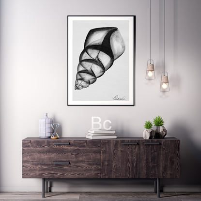 (CreativeWork) Big Shell Wall Art | Shell Wall Art | Paper Art Print | Seashell Print | Nautical Decor | Black And White Print Art | Bedroom Wall Decor  -  A3 - 29.7 x 42.0 cm (11.69 x 16.53 inch) by Ying Yang. Reproduction Print. Shop online at Bluethumb.