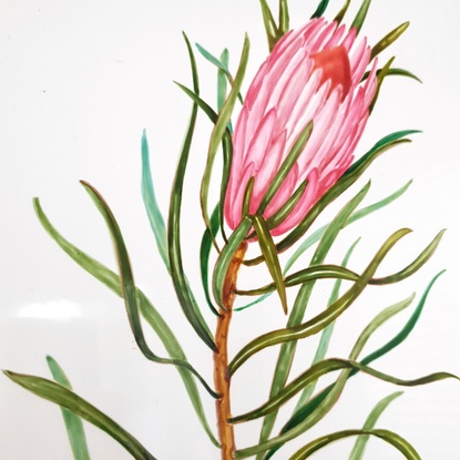 (CreativeWork) Protea by Natalia Basalaeva. Other Media. Shop online at Bluethumb.