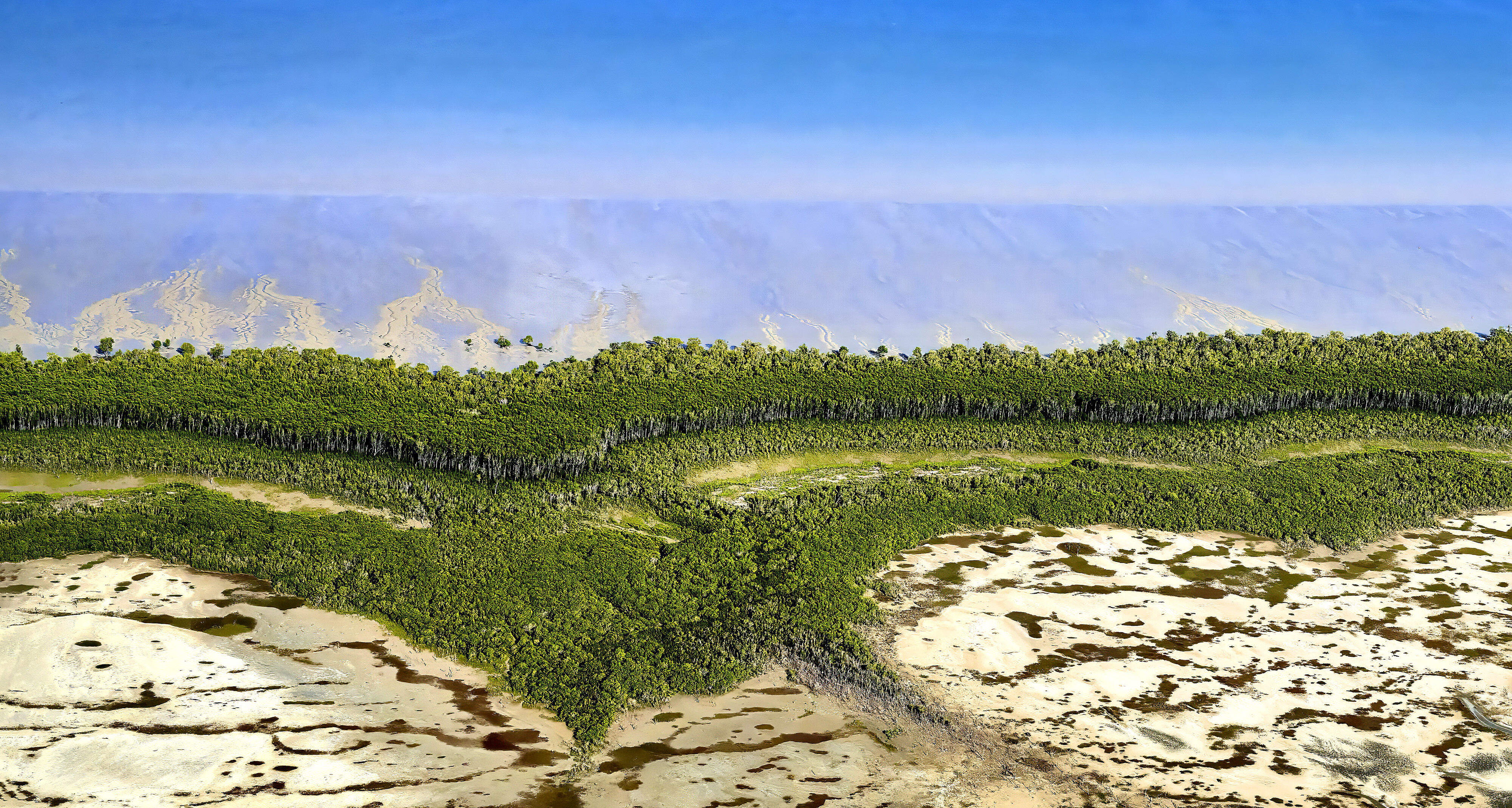 A narrow band of mangroves separates the shallow sea from tidal flats that become submerged at high tide, characteristic of the low-lying coastline of the vast wild landscape in Kakadu, Northern Territory, Australia. The mangroves are critical habitats for fish and wildlife.